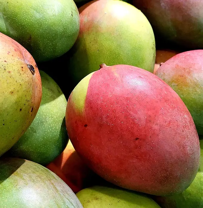 Mangoes