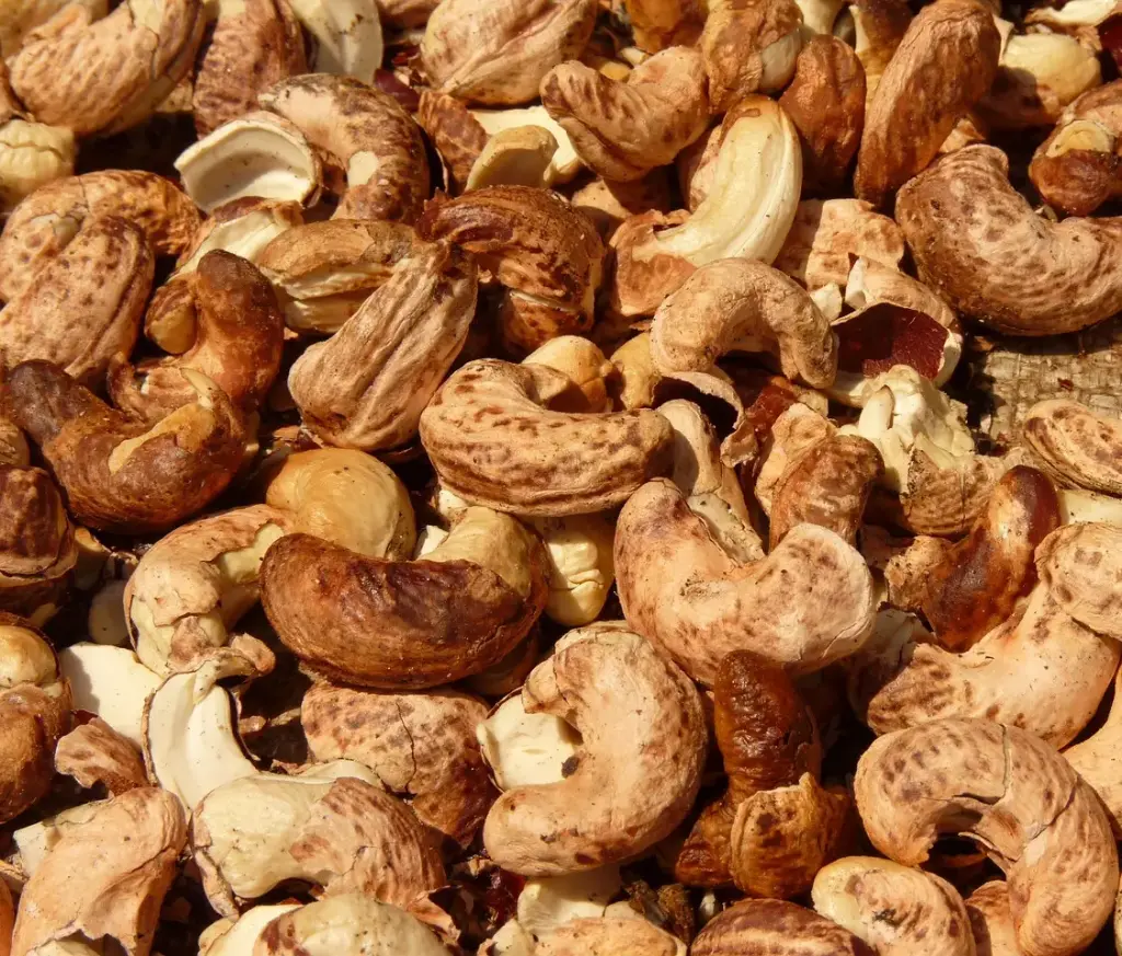 Cashew Nuts