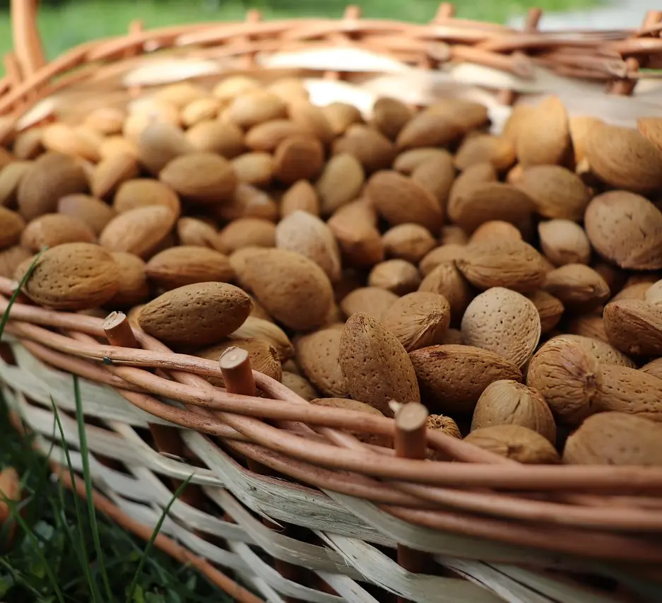 Almonds