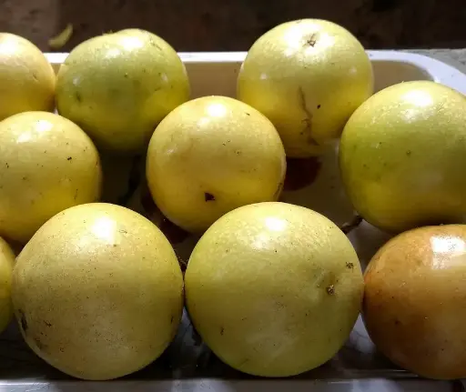 Passionfruit