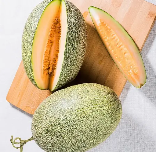 Cantaloupe Melon