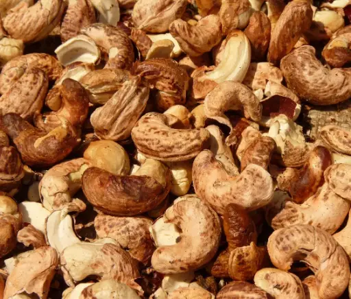 Cashew Nuts