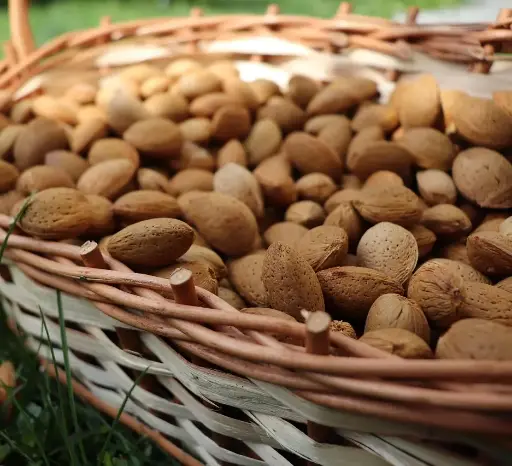 Almonds