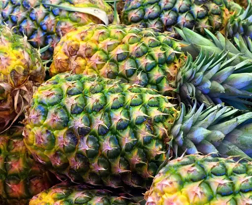 Pineapples