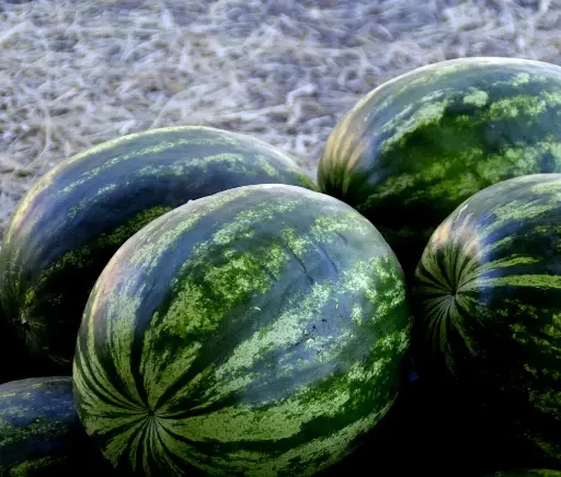 Watermelon